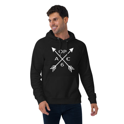 Alt Logo Unisex eco raglan hoodie